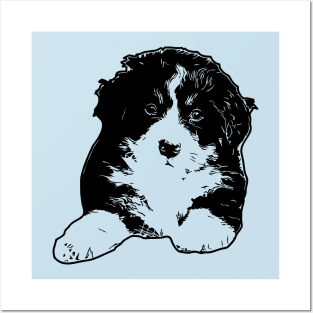 Bernese Mountain Dog Puppy Posters and Art